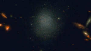 PEARLS Dwarf Galaxy